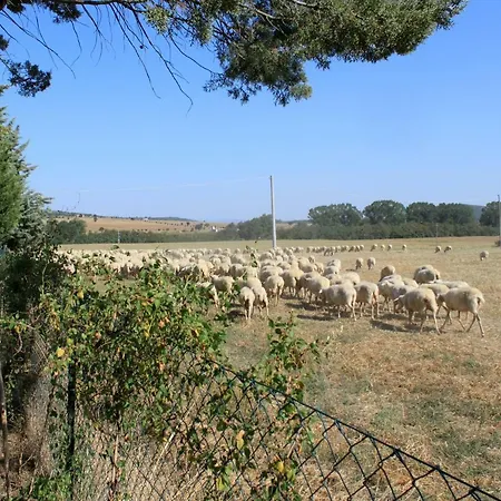 Casa Della Civetta Van Commenee Holiday home *